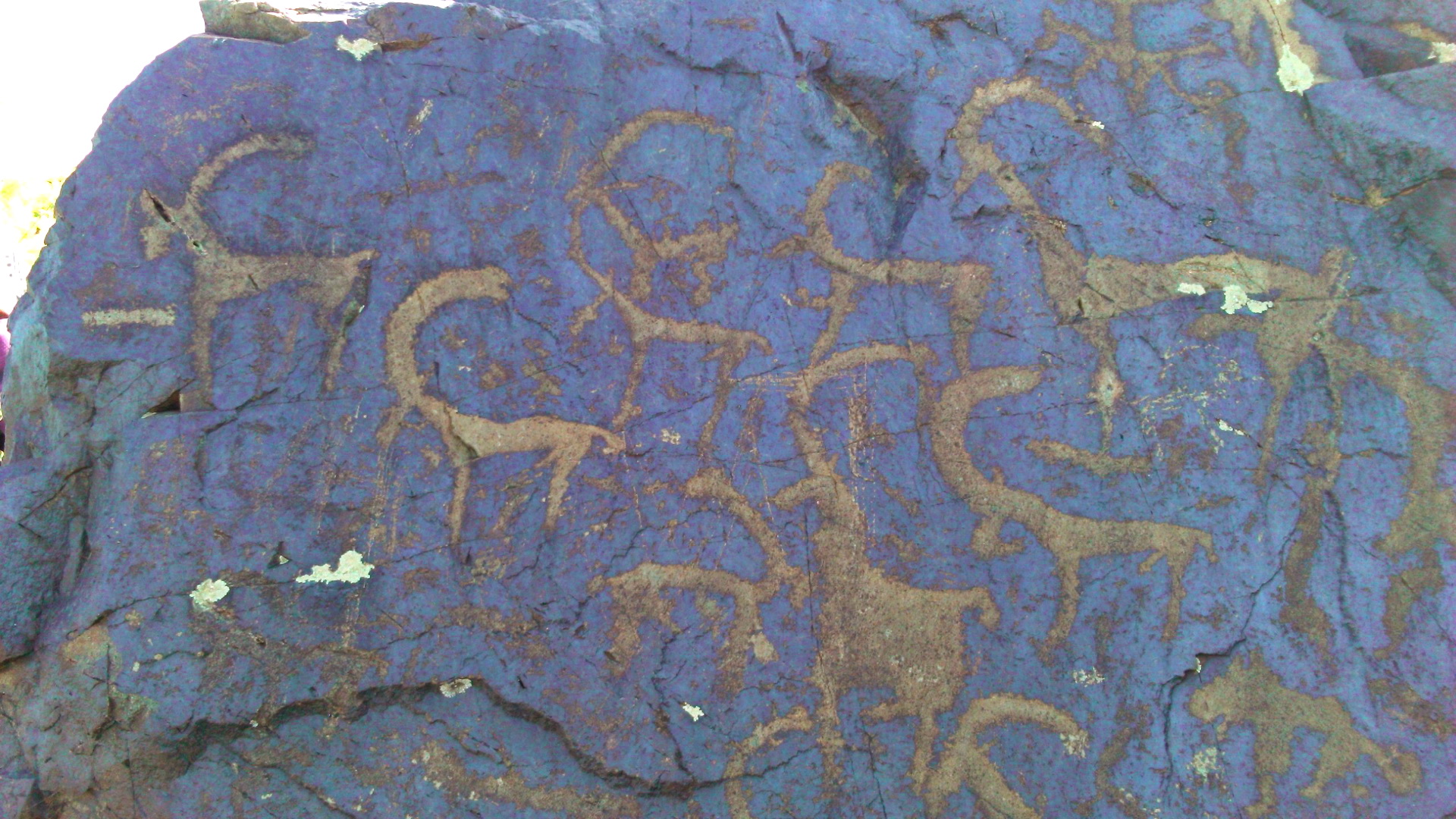 Petroglyphen von Beldersai
