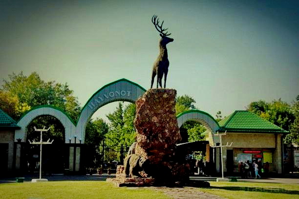 Зоопарк в Ташкенте